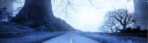 Halloween Road Trip Routes